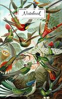 Notebook: Vintage Nature Journal Featuring Tropical Hummingbirds By Haeckel (6 x 9 Lined Notebook, 110 pages)