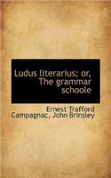 Ludus Literarius; Or, the Grammar Schoole