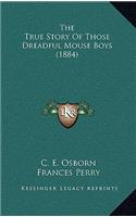 The True Story Of Those Dreadful Mouse Boys (1884)