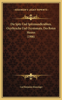 Die Spitz Und Spitzmundkrabben, Oxyrhyncha Und Oxystomata, Des Roten Meeres (1906)