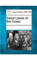 Select Pleas of the Forest.