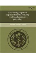 Uncovering Targets of Superoxide in the Budding Yeast Saccharomyces Cerevisiae