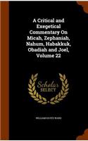 A Critical and Exegetical Commentary On Micah, Zephaniah, Nahum, Habakkuk, Obadiah and Joel, Volume 22: (English)