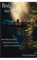 Bridging the Gap