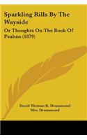 Sparkling Rills By The Wayside: Or Thoughts On The Book Of Psalms (1879)