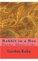 Rabbit in a Box