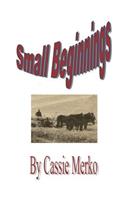 Small Beginnings