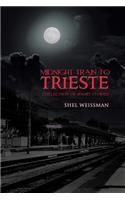 Midnight Train to Trieste: Collection of Short Stories(English)