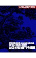 The Ecology of Eelgrass Meadows of the Atlantic Coast: A Community Profile(English)