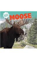 Moose