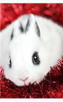 MindBlowing Cute White Bunny Journal