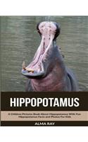Hippopotamus