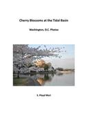 Cherry Blossoms at The Tidal Basin