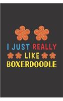I Just Really Like Boxerdoodle
