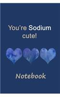 You're sodium cute! Notebook