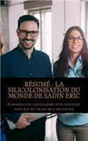 R?sum? - La Silicolonisation Du Monde de Sadin Eric: Comment Un Capitalisme d'Un Nouveau Type Est En Train de S Instituer.