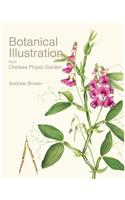 Botanical Illustration from Chelsea Physic Garden