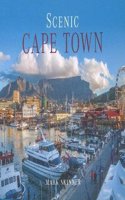 Scenic Cape Town