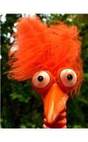 Notebook: Orange Fuzzy Hair Bird Cover - Lined Notebook - Journal - Composition Book - 8.5 X 11 Paper - Wide Ruled - 100 Pages