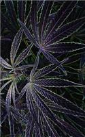 Cannabis Rating Journal Electric Weed: Blank Form Notebook Used for Organizing Information and Rate THC CBD Strains of Marijuana for Either Medical or Recreational