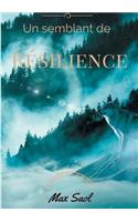 Un semblant de résilience