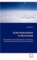 Scale Interactions in Hurricanes