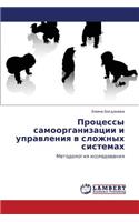 Protsessy Samoorganizatsii I Upravleniya V Slozhnykh Sistemakh: (Russian)