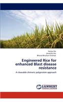 Engineered Rice for enhanced Blast disease resistance