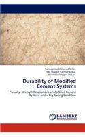 Durability of Modified Cement Systems