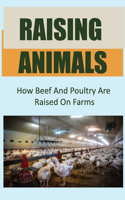 Raising Animals