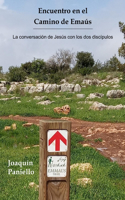 Encuentro en el Camino de Emaús