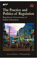 The Practice and Politics of Regulation - Regulatory Governance in Indian Electricity