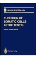 Function of Somatic Cells in the Testis