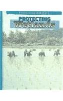 Protecting Wetlands