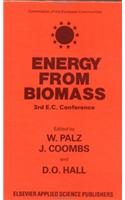 Energy from the Biomass