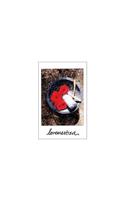 lovemestiza