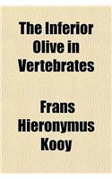 The Inferior Olive in Vertebrates