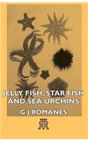 Jelly Fish, Star Fish and Sea Urchins