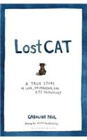 Lost Cat