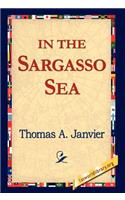 In the Sargasso Sea