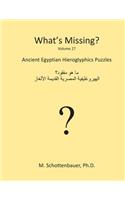What's Missing?: Ancient Egyptian Hieroglyphics Puzzles(27 What's Missing?)