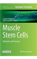 Muscle Stem Cells