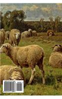 Far from the Madding Crowd (Yiddish Edition)
