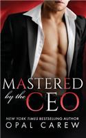 Mastered by the CEO