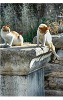 Cats at the Ruins in Ephesus Turkey Journal: 150 Page Lined Notebook/Diary