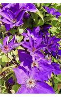 Purple Clematis Flowers Journal