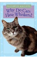 Why Do Cats Have Whiskers?