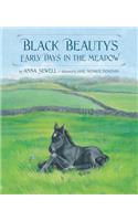 Black Beauty's Early Days in the Meadow