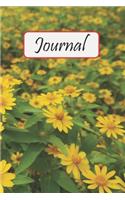 Journal