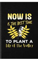 Now Is the Best Time to Plant a Lily of the Valley